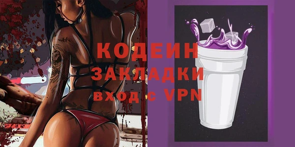 твердый Дмитровск